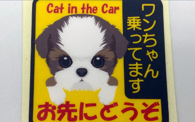 Card image cap