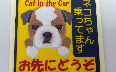 Card image cap