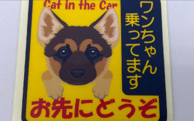 Card image cap