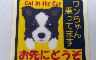 Card image cap