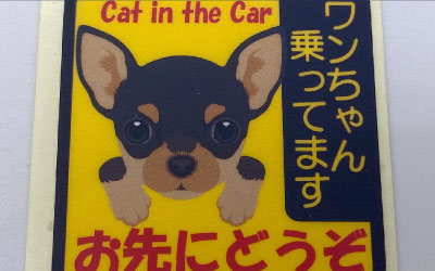Card image cap