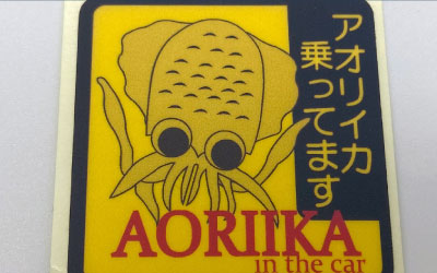 Card image cap