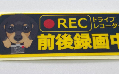 Card image cap